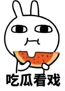 娱乐吃瓜酱冷,揭秘娱乐圈背后的秘密与真相