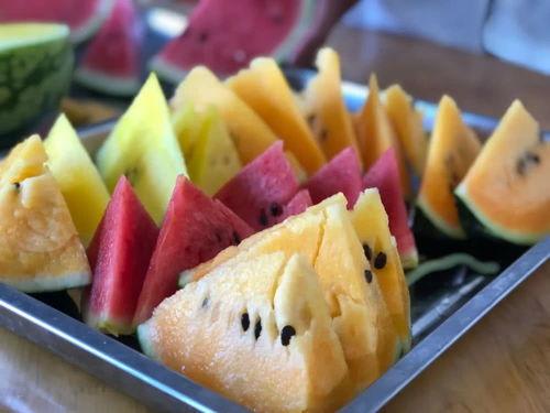 吃瓜网官网最新路线,带你畅游瓜界新天地